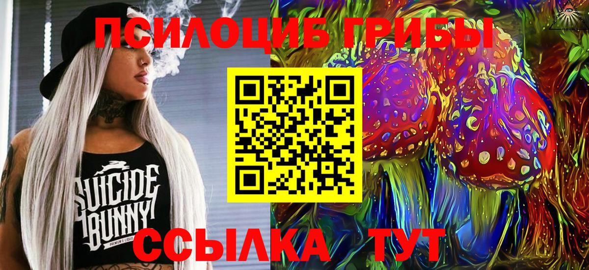Псилоцибиновые грибы мицелий  Вход с VPN  Шахты  Псилоцибиновые грибы мицелий 