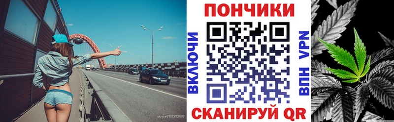 кракен tor  Шахты  Бошки марихуана сатива 